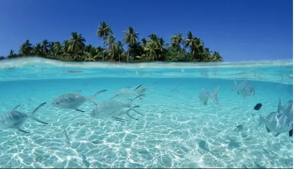 The first business loss is not market position. It’s the mental clarity of the Leader